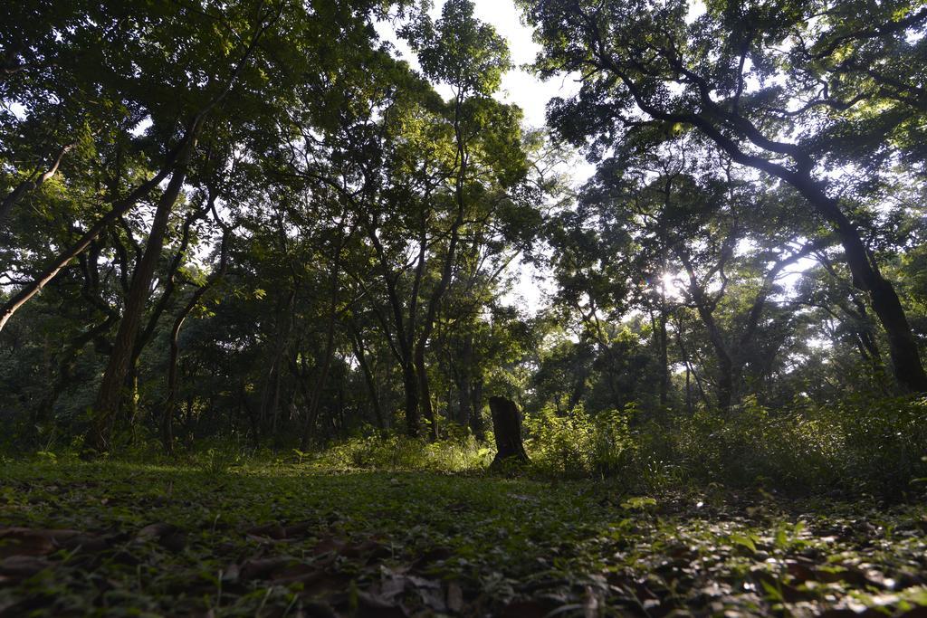 Gokarna Forest Resort Kathmandu Buitenkant foto