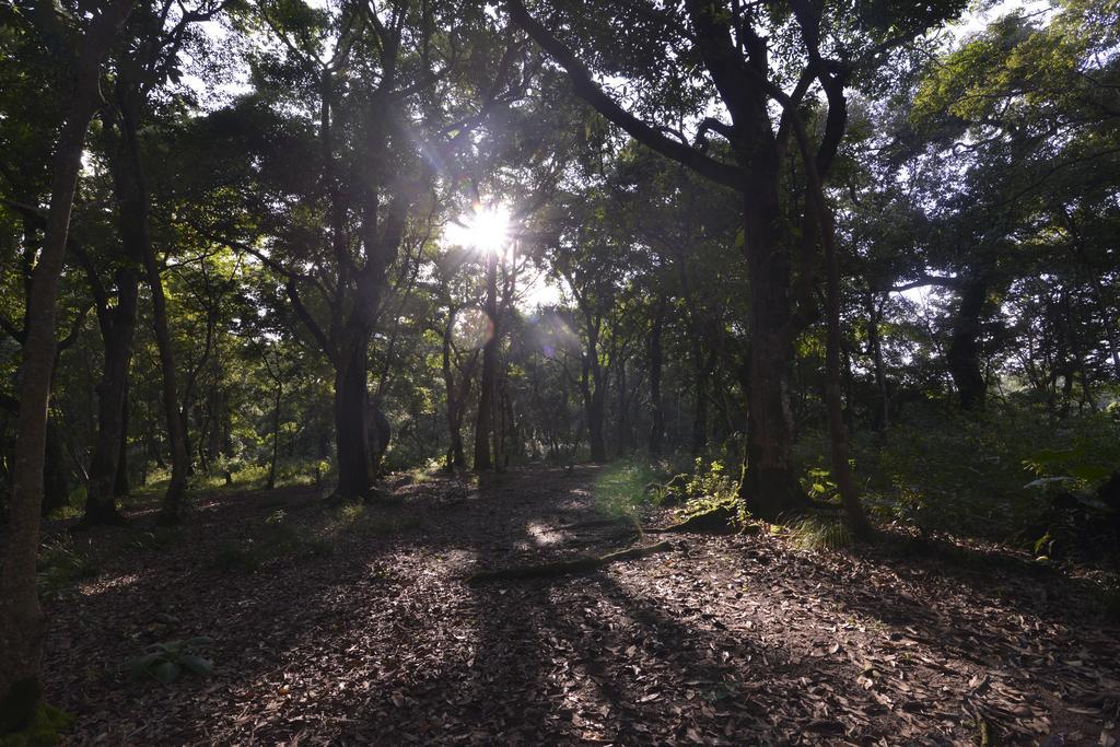 Gokarna Forest Resort Kathmandu Buitenkant foto
